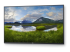 Dell P5524Q - 55" Diagonal Class (54.6" viewable) LED-backlit LCD display - Right-angle
