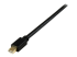 StarTech 6 ft Mini DisplayPort to DVI Active Adapter Converter Cable - Close up