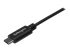 StarTech USB C to USB Cable - Close up