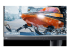 Alienware 500Hz Gaming Monitor AW2524HF - Close up