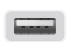 Apple USB-C to USB Adapter - Bottom