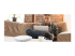 Zyxel Multy X WSQ50 - Wi-Fi system - Left-angle