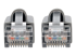 Eaton Tripp Lite Series Cat6a 10G Snagless Shielded STP Ethernet Cable (RJ45 M/M), PoE, Gray, 5 ft. (1.52 m) - Close up
