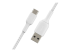 Belkin BoostCharge - USB cable - Multi-angle