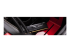 Kingston FURY Beast - DDR4 - Front