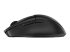HP 480 - Mouse - ergonomic - Right side