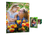 HP Everyday Photo Paper - Front
