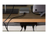Twelve South StayGo USB-C Hub - Front