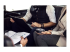 EPOS EXPAND SP 30T - Smart speakerphone - Right-angle