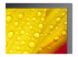 NEC MultiSync ME551 - 55" Diagonal Class ME Series LED-backlit LCD display - Close up