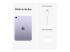 Apple iPad mini Wi-Fi + Cellular - Multi-angle