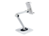 StarTech.com Adjustable Tablet Stand for Desk, Desk/Wall Mountable, Supports Up to 2.2lb, Universal Tablet Stand Holder for Desk, Articulating Tablet Mount with Pivot/Swivel/Rotate - Back