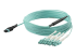 StarTech.com MTP to LC Breakout Cable - Front