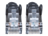 Intellinet Network Patch Cable, Cat6A, 1m, Black, Copper, S/FTP, LSOH / LSZH, PVC, RJ45, Gold Plated Contacts, Snagless, Booted, Lifetime Warranty, Polybag - Close up