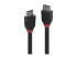 Lindy Black Line - Standard - Multi-angle