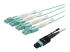 StarTech.com MTP to LC Breakout Cable - Close up