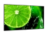 NEC MultiSync E758 - 75" Diagonal Class (74.5" viewable) - Left-angle
