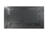 NEC MultiSync P555 PG-2 - Back
