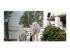 Reolink Go PT Plus - Network surveillance camera - Right-angle