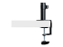 StarTech.com Laptop Desk Mount, Monitor and Laptop Mount for Desk, Displays 34in (8kg/17.6lb) & Laptops (4.5kg/9.9lbs), Adjustable & Articulating VESA Laptop Tray Arm - Close up