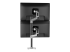Ergotron LX - Mounting kit (dual stacking arm, tall pole) - Back