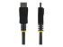 StarTech 10 ft DisplayPort 1.2 Cable with Latches - Multi-angle