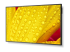 NEC MultiSync M431-2 - Right-angle