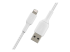 Belkin BoostCharge - Lightning cable - Multi-angle