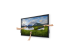 Dell P6524QT - 65" Diagonal Class (64.53" viewable) LED-backlit LCD display - Right-angle