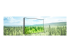 LG 55UH7N-E - 55" Diagonal Class UH7N-E Series LED-backlit LCD display - Left-angle