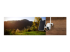 Reolink Go PT Plus - Network surveillance camera - Right-angle