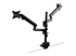 Startech Desk Mount Dual Monitor Arm, Full Motion Monitor Mount for 2x VESA Displays up to 32" (up to 17lb/8kg), Ergonomic Vertical Stackable Arms, Articulating, Height Adjustable - Back
