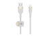 Belkin BOOST CHARGE - Lightning cable - Front