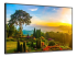 NEC MultiSync m551 - 55" Diagonal Class M Series LED-backlit LCD display - Left-angle