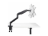 Startech Monitor Desk Mount For 49" Ultrawide Curved Screen, Max 44lb - Back