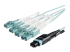 StarTech.com MTP to LC Breakout Cable - Close up
