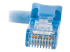 C2G Cat6 Booted Unshielded (UTP) Network Patch Cable - Close up