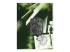 Technaxx Nature Wild Cam TX-69 - Right-angle