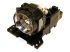 InFocus - Projector lamp - 