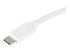 StarTech.com USB-C to Gigabit Ethernet Adapter - Close up