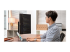 ASUS ZenScreen MB249C - Left-angle