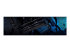 Kingston FURY Beast - DDR5 - Top