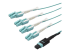 StarTech.com MTP to LC Breakout Cable - Right-angle