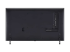 LG 55QNED80T6A QNED80 Series - Back