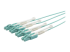 StarTech.com MTP to LC Breakout Cable - 